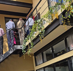 Making a difference for mental health