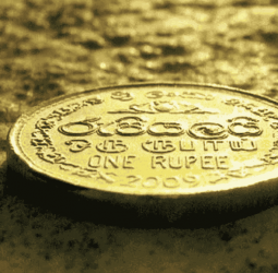 Rupee may fall further without import price fix