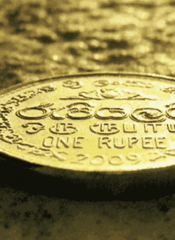 Rupee may fall further without import price fix