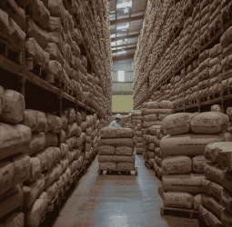 Tea exports face Red Sea risk