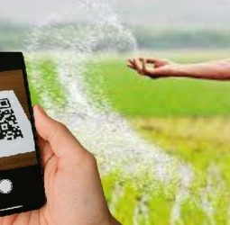 No QR for fertiliser