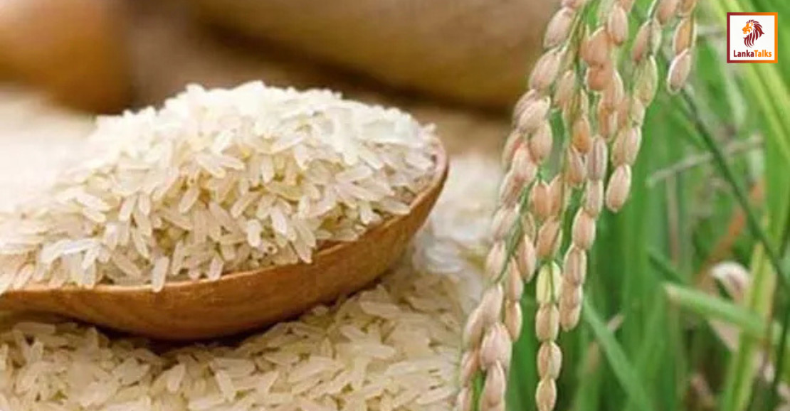 Festive season demand: Rice varieties need to be imported: CGES