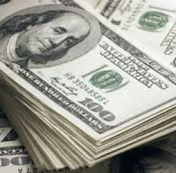 Dollar rate today : Selling rate steady at Rs. 314