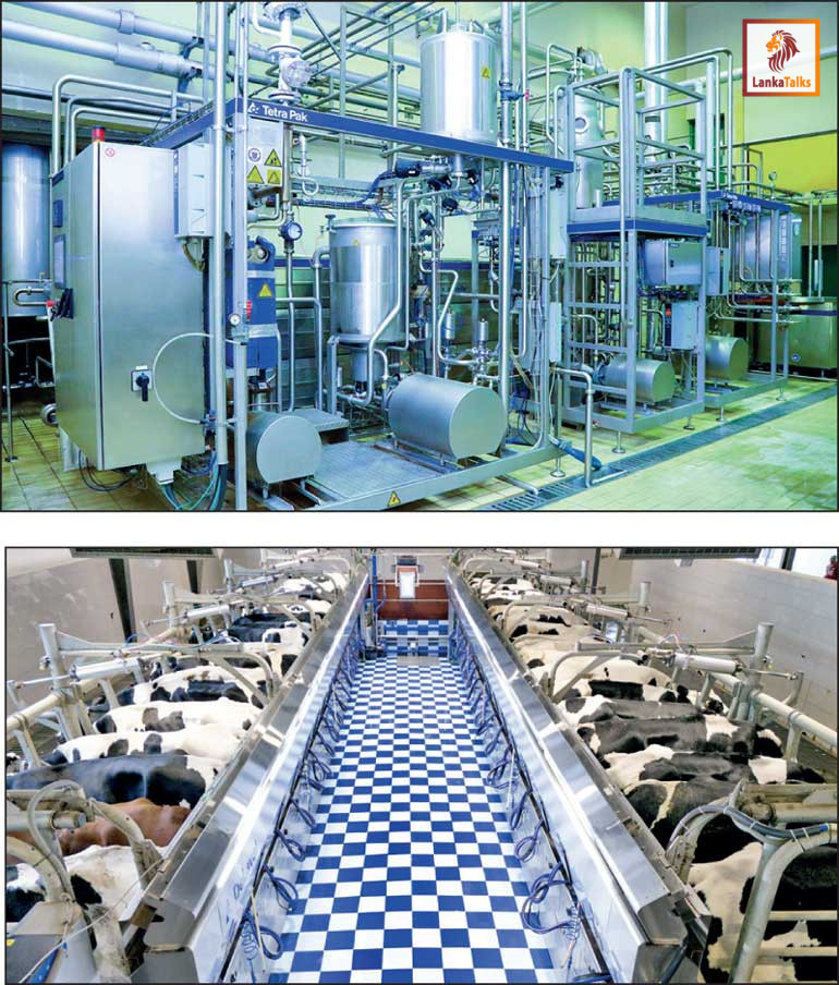 Ambewela Deliver Unmatched Premium Quality Dairy Products with its latest technology and innovation