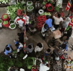 Middle East conflict: No immediate threat to food security, Govt. assures