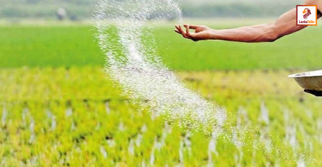Urea fertilizer limited to paddy cultivation for Yala season