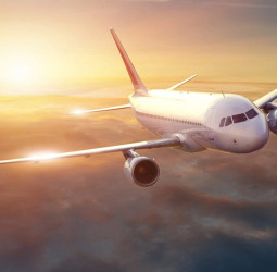 Group of 18 Sri Lankans in Israel set to return home