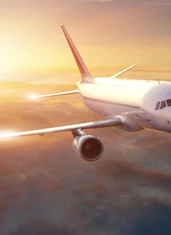 Group of 18 Sri Lankans in Israel set to return home