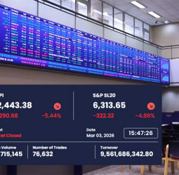 CSE suffers its largest single-day point drop in history