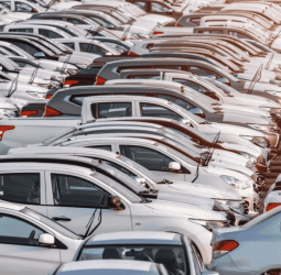 No notable dip in vehicle imports