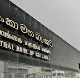 T-bill yields rise across all tenors