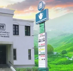 GI for Ceylon Tea nearing completion