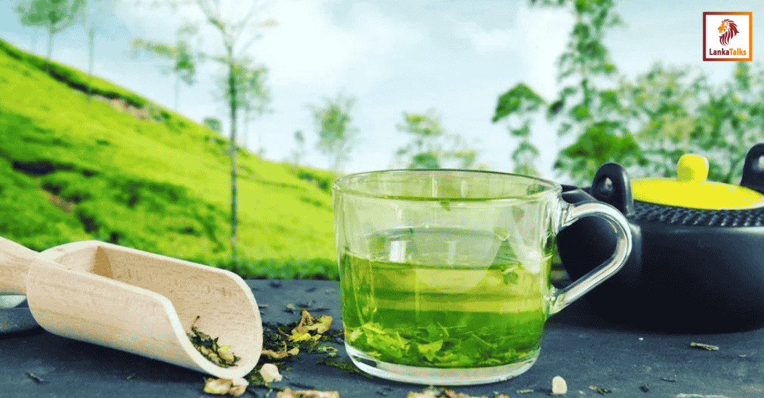 Sri Lanka’s tea export market holds steady