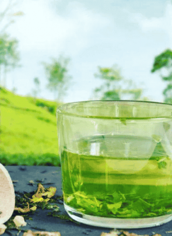 Sri Lanka’s tea export market holds steady