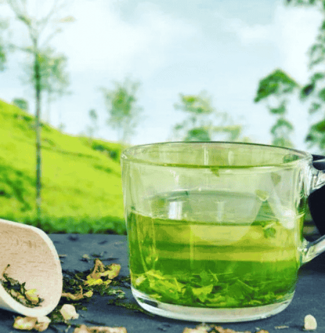 Sri Lanka’s tea export market holds steady