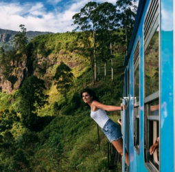 Tourist arrivals drop by 22%