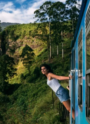 Tourist arrivals drop by 22%