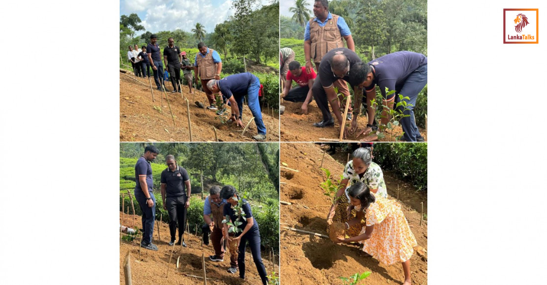 Basilur Tea celebrates International Tea Day with launch of ‘Roots of Ceylon’