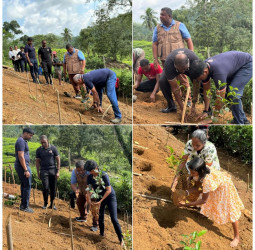 Basilur Tea celebrates International Tea Day with launch of ‘Roots of Ceylon’