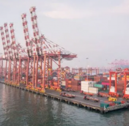 ‘Para-tariff reform momentum at risk of slowing’