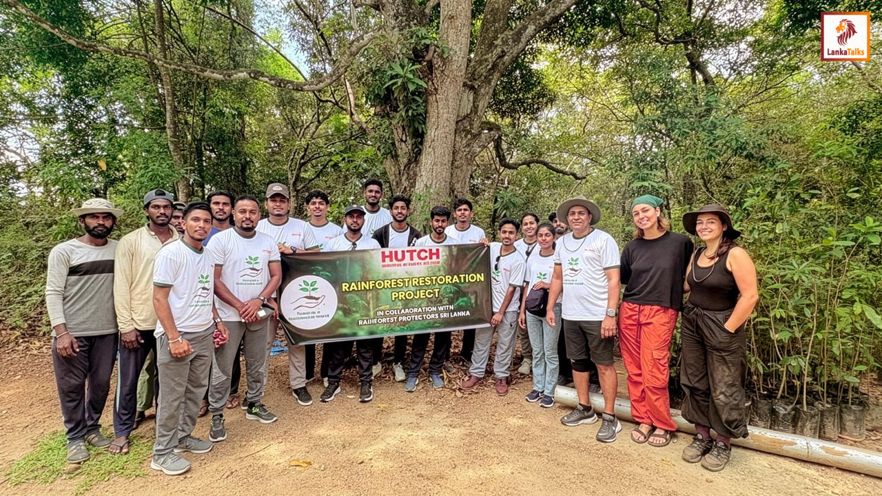 HUTCH Advances ESG Commitment Through Rajawaka Rainforest Restoration