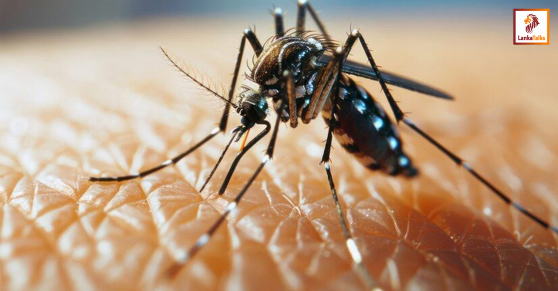 Over 25,000 Dengue cases from January