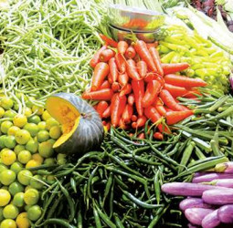 Vegetable prices likely to rise further as bad weather continues