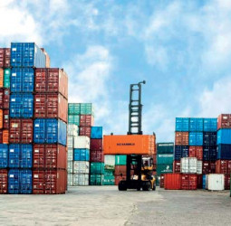 Cabinet clears National Export Development Plan 2026-2030