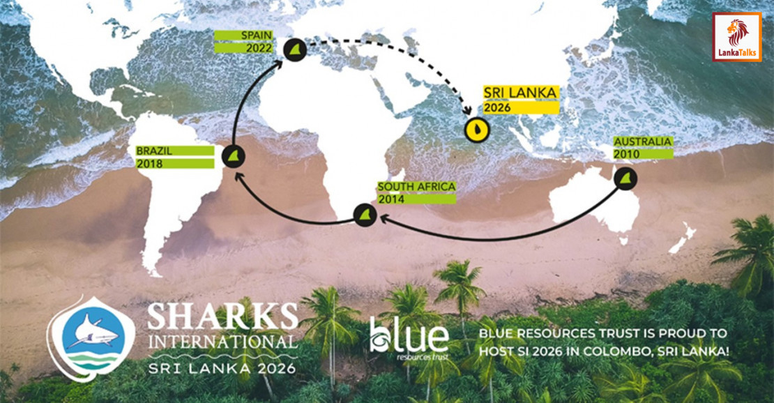 Sharks International 2026 begins in Colombo today