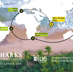 Sharks International 2026 begins in Colombo today