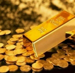 CBSL caps gold-backed loans at 70% LTV