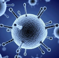 Flu Outbreak in Deniyaya: Four schools shut for two more days