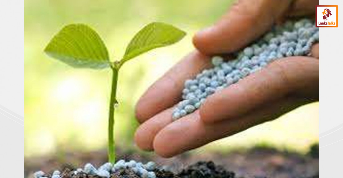 Fertiliser and paddy rates: Farmers warn of protest in Colombo