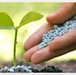 Fertiliser and paddy rates: Farmers warn of protest in Colombo