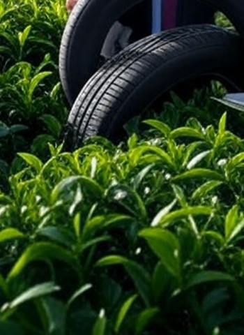 Rising rubber prices likely to benefit Sri Lanka’s listed companies