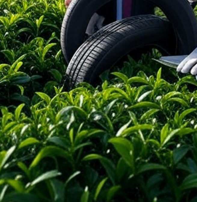 Rising rubber prices likely to benefit Sri Lanka’s listed companies
