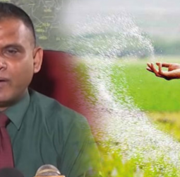 Government allows private sector to distribute urea fertilizer