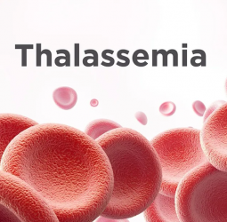 Risk of Thalassemia increases