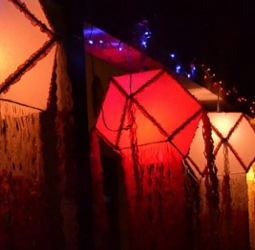 CEA urges public to avoid single use plastic and polythene during Vesak