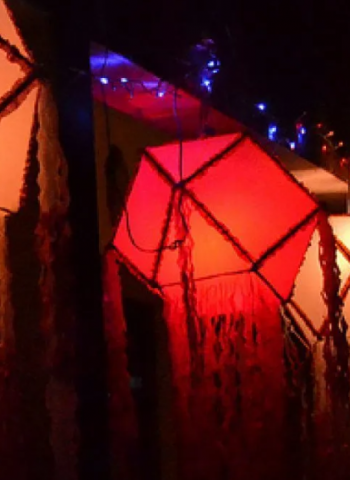 CEA urges public to avoid single use plastic and polythene during Vesak