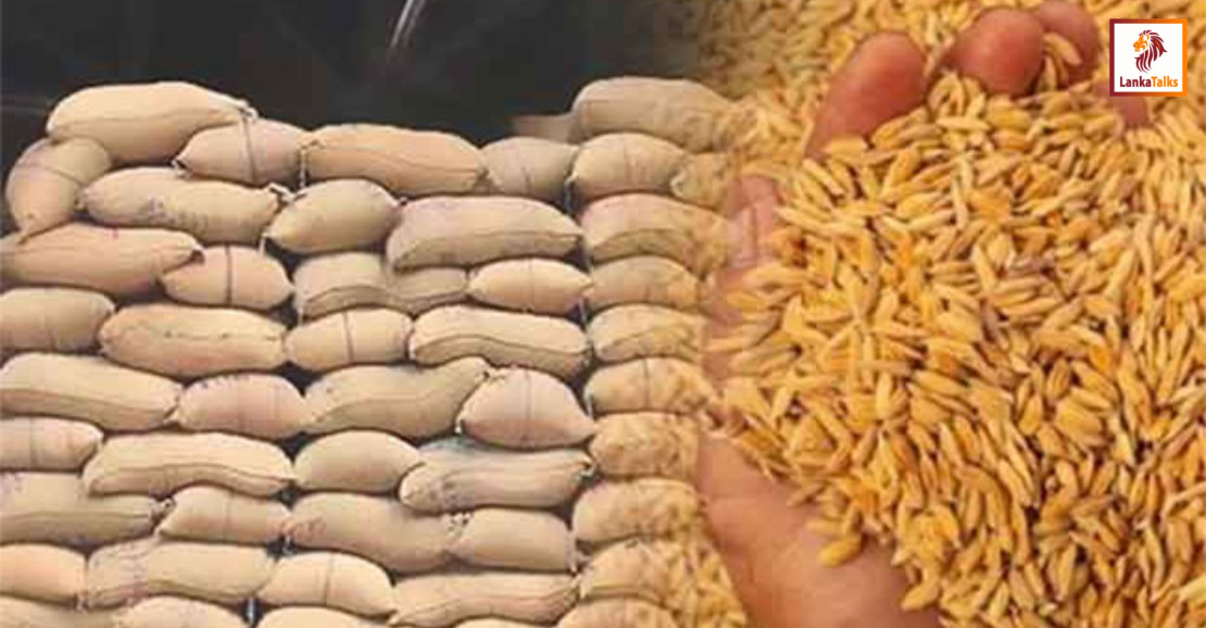 Cabinet approves sale of 115,000 MT paddy stocks held by Paddy Marketing Board