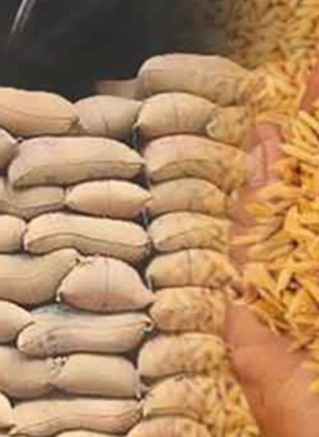 Cabinet approves sale of 115,000 MT paddy stocks held by Paddy Marketing Board
