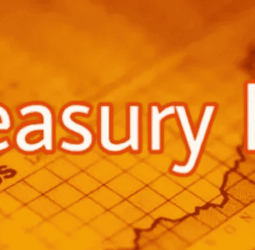 Sri Lanka Treasury bill yields flat, all bills sold