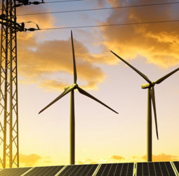 Sri Lanka renewable energy SMEs face collapse over Rs10bn unpaid dues