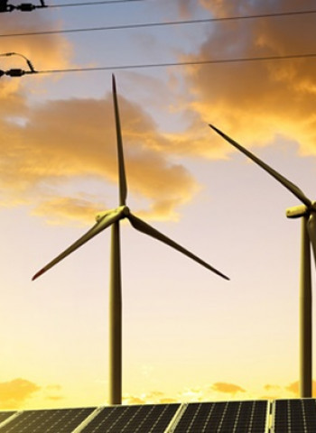 Sri Lanka renewable energy SMEs face collapse over Rs10bn unpaid dues