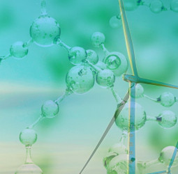 Sri Lanka calls for RFIs to launch Green Hydrogen, Ammonia projects