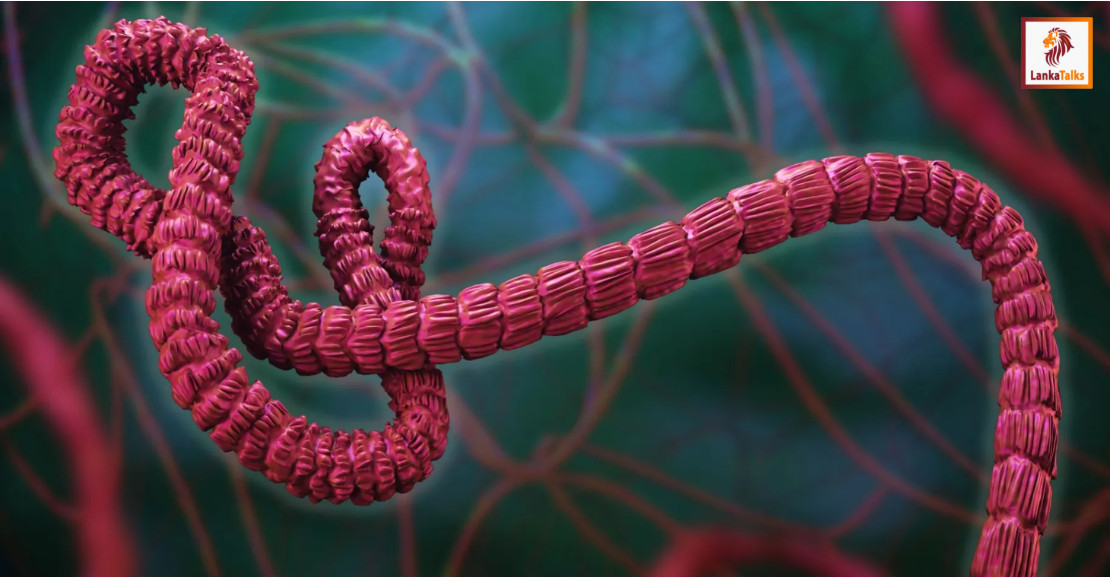 SL classified as low-risk for Ebola