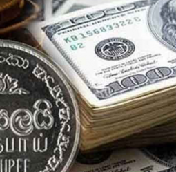 Sri Lankan Rupee appreciates further against US Dollar