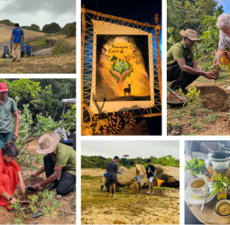 Hilton Yala Resort Marks Earth Week 2026 with Purpose-Driven Sustainability Initiatives