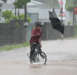 Heavy rainfall above 100 mm expected in several areas.